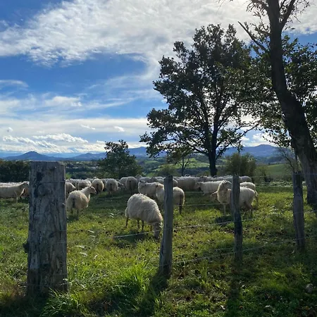 Entre Et Montagne Ama Lur Hasparren